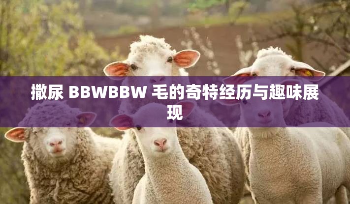 撒尿 BBWBBW 毛的奇特经历与趣味展现