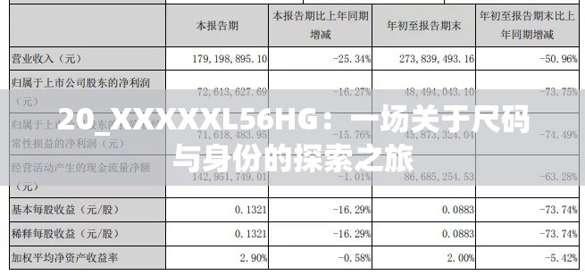 20_XXXXXL56HG：一场关于尺码与身份的探索之旅