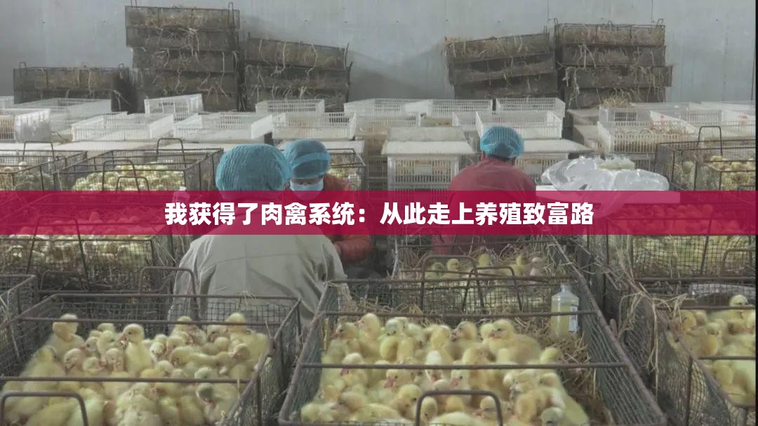 我获得了肉禽系统：从此走上养殖致富路