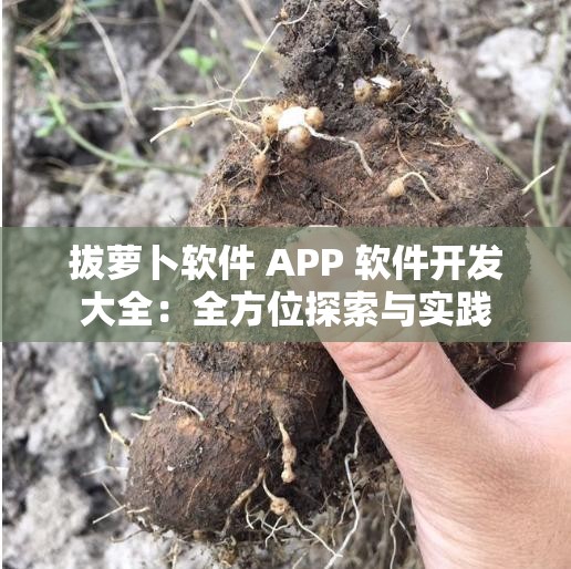 拔萝卜软件 APP 软件开发大全：全方位探索与实践