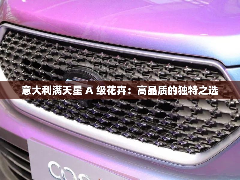 意大利满天星 A 级花卉：高品质的独特之选