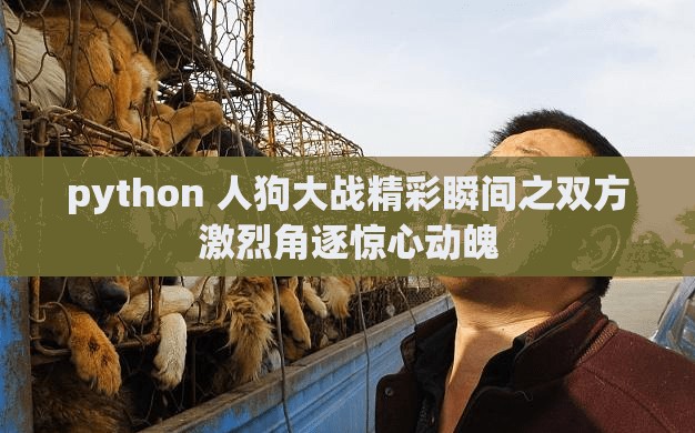 python 人狗大战精彩瞬间之双方激烈角逐惊心动魄