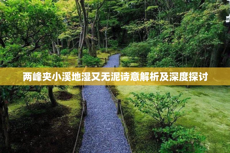 两峰夹小溪地湿又无泥诗意解析及深度探讨