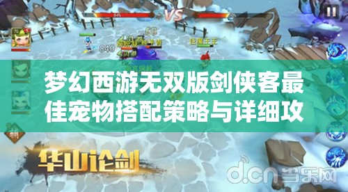 梦幻西游无双版剑侠客最佳宠物搭配策略与详细攻略解析