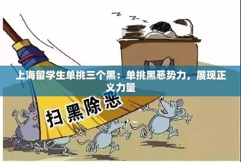 上海留学生单挑三个黑：单挑黑恶势力，展现正义力量