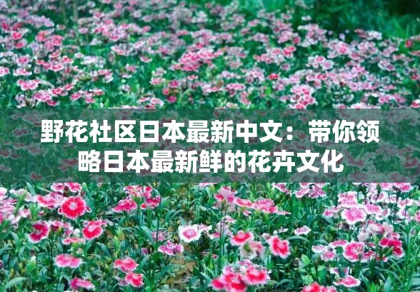 野花社区日本最新中文：带你领略日本最新鲜的花卉文化