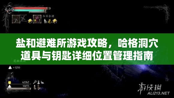 盐和避难所游戏攻略，哈格洞穴道具与钥匙详细位置管理指南