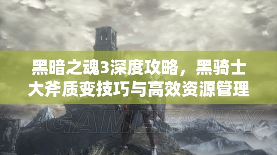 黑暗之魂3深度攻略，黑骑士大斧质变技巧与高效资源管理策略