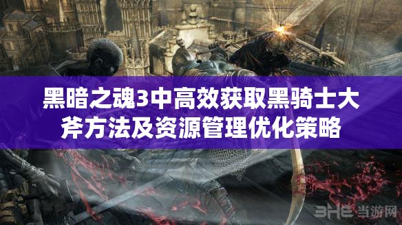 黑暗之魂3中高效获取黑骑士大斧方法及资源管理优化策略