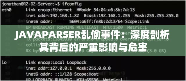 JAVAPARSER乱偷事件：深度剖析其背后的严重影响与危害