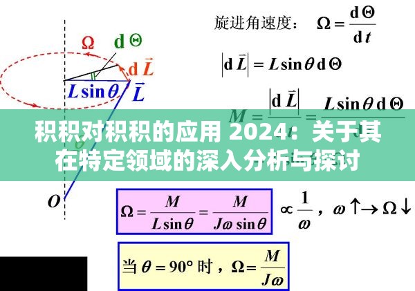 积积对积积的应用 2024：关于其在特定领域的深入分析与探讨