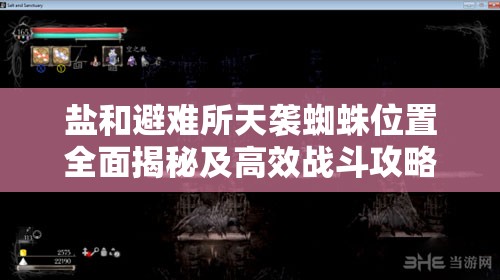 盐和避难所天袭蜘蛛位置全面揭秘及高效战斗攻略指南