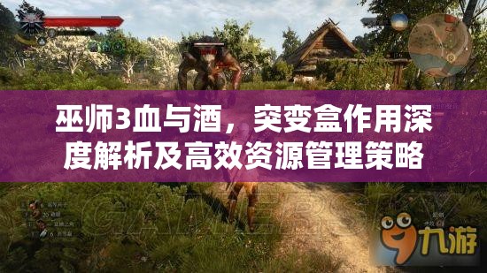 巫师3血与酒，突变盒作用深度解析及高效资源管理策略