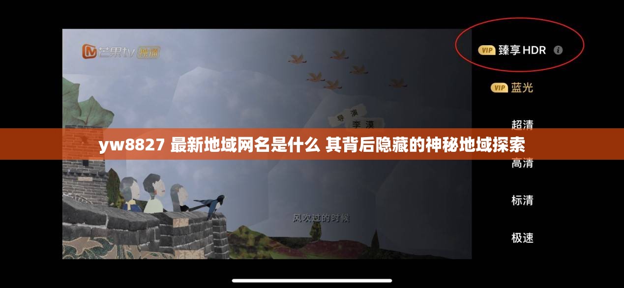 yw8827 最新地域网名是什么 其背后隐藏的神秘地域探索