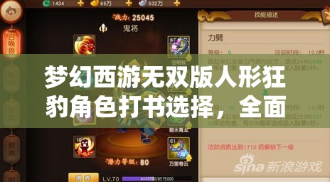 梦幻西游无双版人形狂豹角色打书选择，全面解析与攻略指南