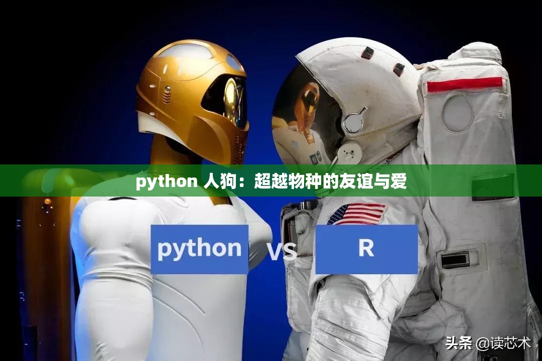 python 人狗：超越物种的友谊与爱