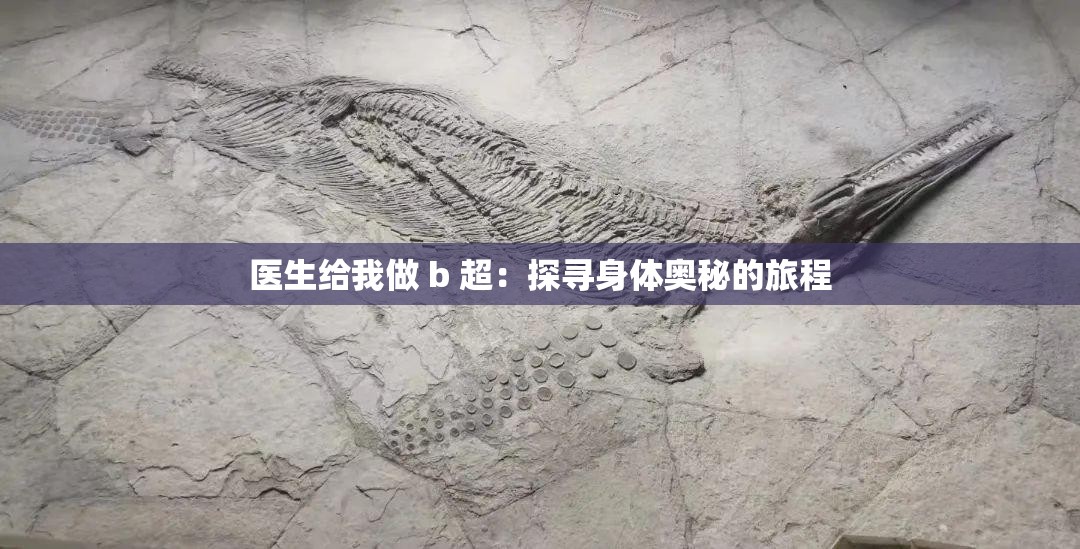 医生给我做 b 超：探寻身体奥秘的旅程