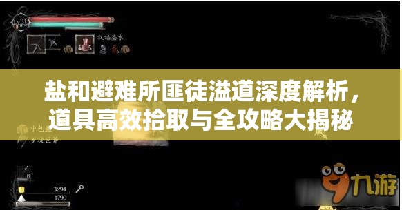 盐和避难所匪徒溢道深度解析，道具高效拾取与全攻略大揭秘