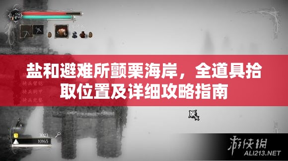 盐和避难所颤栗海岸，全道具拾取位置及详细攻略指南