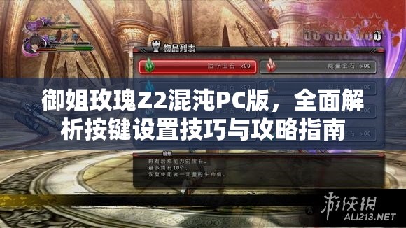 御姐玫瑰Z2混沌PC版，全面解析按键设置技巧与攻略指南