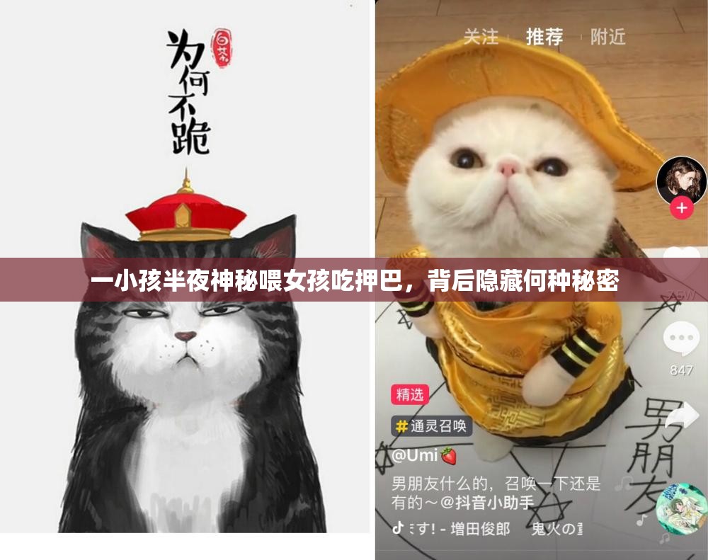 一小孩半夜神秘喂女孩吃押巴，背后隐藏何种秘密