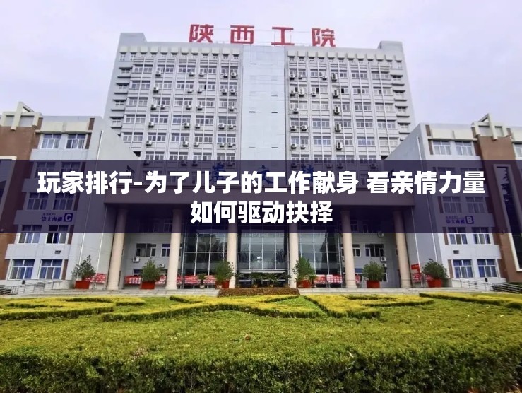 玩家排行-为了儿子的工作献身 看亲情力量如何驱动抉择