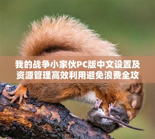 我的战争小家伙PC版中文设置及资源管理高效利用避免浪费全攻略