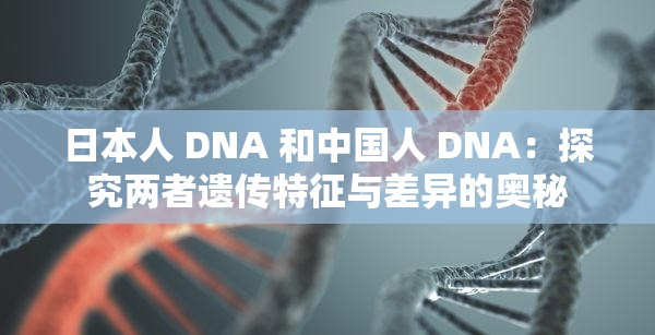 日本人 DNA 和中国人 DNA：探究两者遗传特征与差异的奥秘