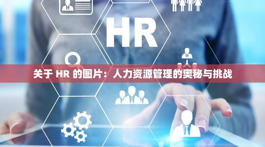 关于 HR 的图片：人力资源管理的奥秘与挑战