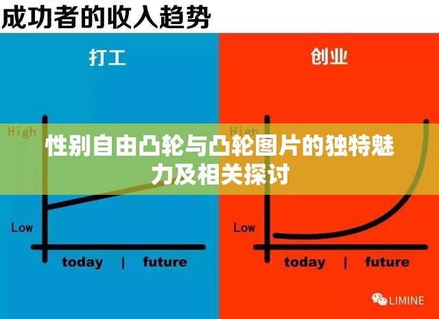 性别自由凸轮与凸轮图片的独特魅力及相关探讨