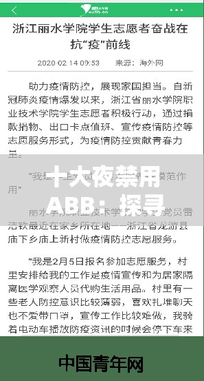 十大夜禁用 ABB：探寻其背后的深意与影响