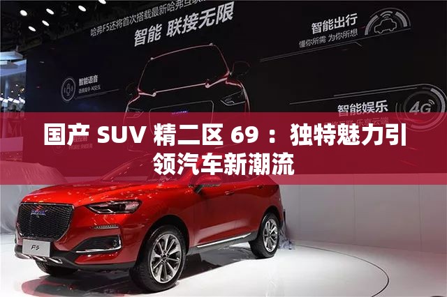 国产 SUV 精二区 69 ：独特魅力引领汽车新潮流