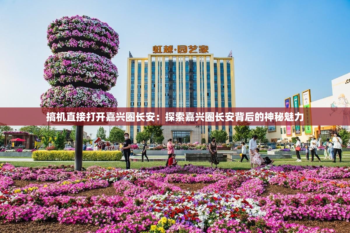 搞机直接打开嘉兴圈长安：探索嘉兴圈长安背后的神秘魅力
