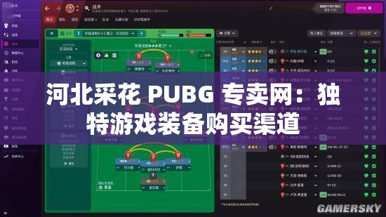 河北采花 PUBG 专卖网：独特游戏装备购买渠道