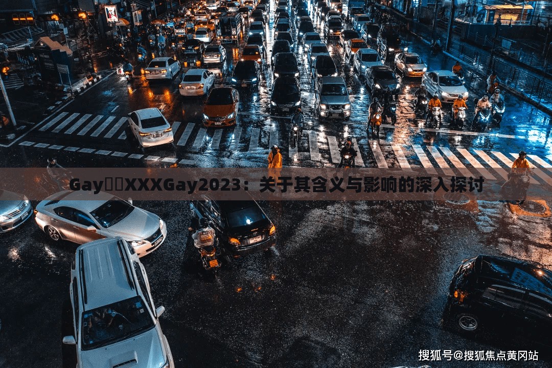 Gay鈥哫XXXGay2023：关于其含义与影响的深入探讨