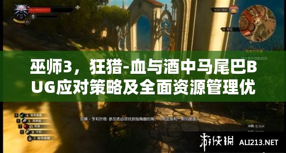 巫师3，狂猎-血与酒中马尾巴BUG应对策略及全面资源管理优化指南