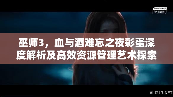 巫师3，血与酒难忘之夜彩蛋深度解析及高效资源管理艺术探索