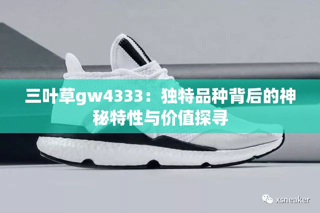 三叶草gw4333：独特品种背后的神秘特性与价值探寻