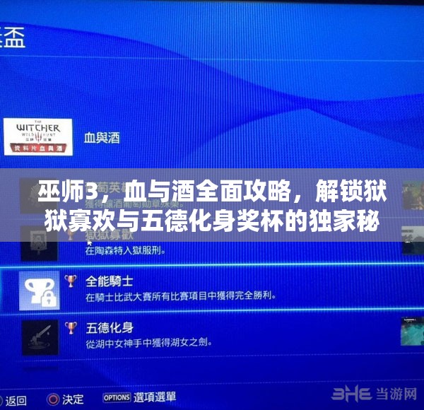 巫师3，血与酒全面攻略，解锁狱狱寡欢与五德化身奖杯的独家秘籍