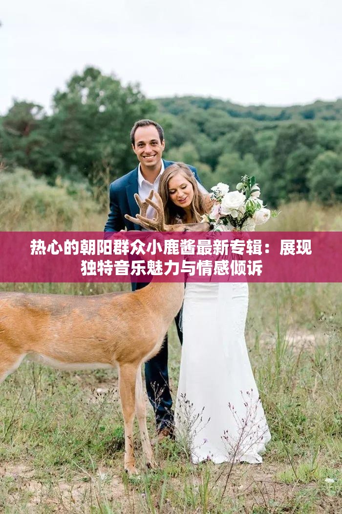热心的朝阳群众小鹿酱最新专辑：展现独特音乐魅力与情感倾诉