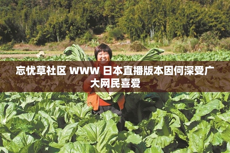 忘忧草社区 WWW 日本直播版本因何深受广大网民喜爱