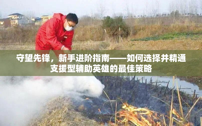 守望先锋，新手进阶指南——如何选择并精通支援型辅助英雄的最佳策略