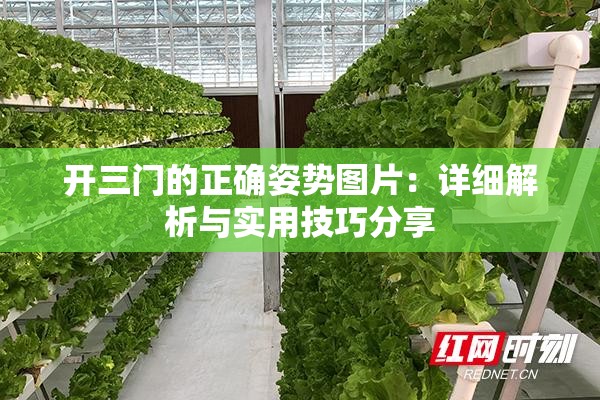 开三门的正确姿势图片：详细解析与实用技巧分享