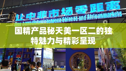 国精产品秘天美一区二的独特魅力与精彩呈现