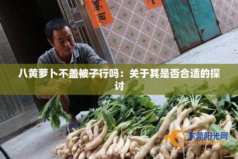 八黄萝卜不盖被子行吗：关于其是否合适的探讨