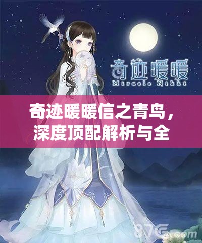奇迹暖暖信之青鸟，深度顶配解析与全方位魅力提升攻略