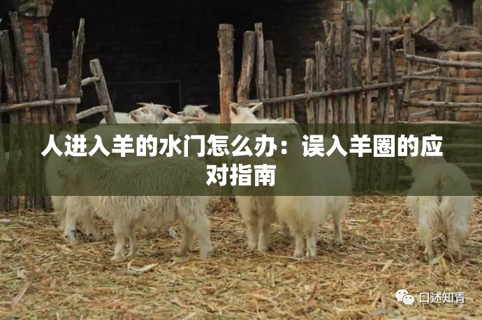 人进入羊的水门怎么办：误入羊圈的应对指南