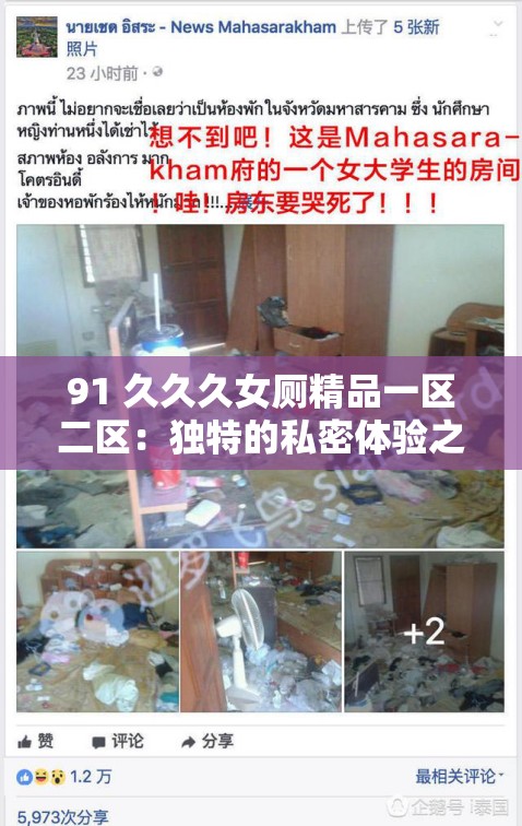 91 久久久女厕精品一区二区：独特的私密体验之域