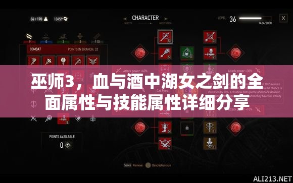 巫师3，血与酒中湖女之剑的全面属性与技能属性详细分享