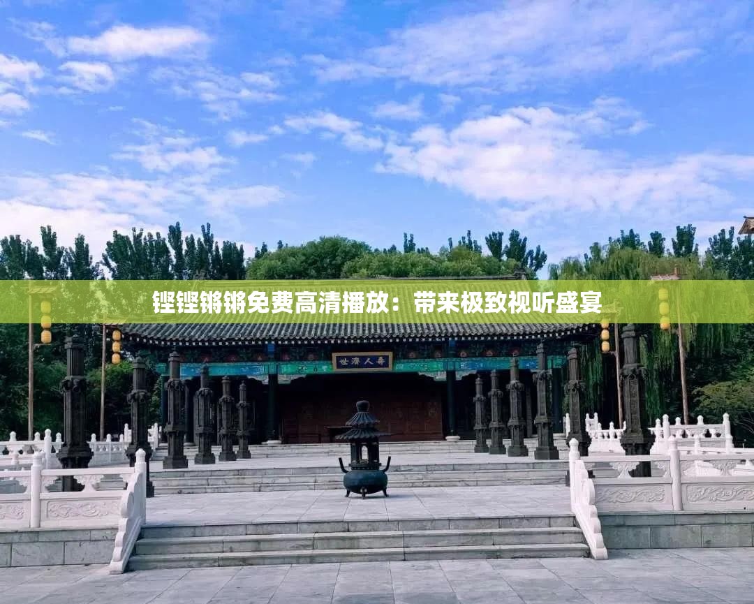 铿铿锵锵免费高清播放：带来极致视听盛宴